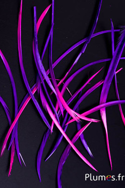 Oie strippé  - 10-17 cm - violet-fuchsia